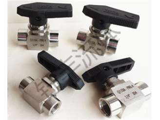 304不锈钢内丝针型阀