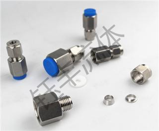 304不锈钢压力表直通接头（内丝直通接头）2