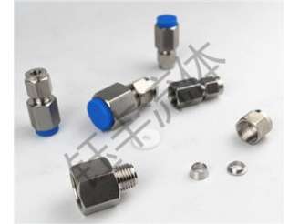 304不锈钢压力表直通接头（内丝直通接头）2