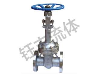 低温闸阀